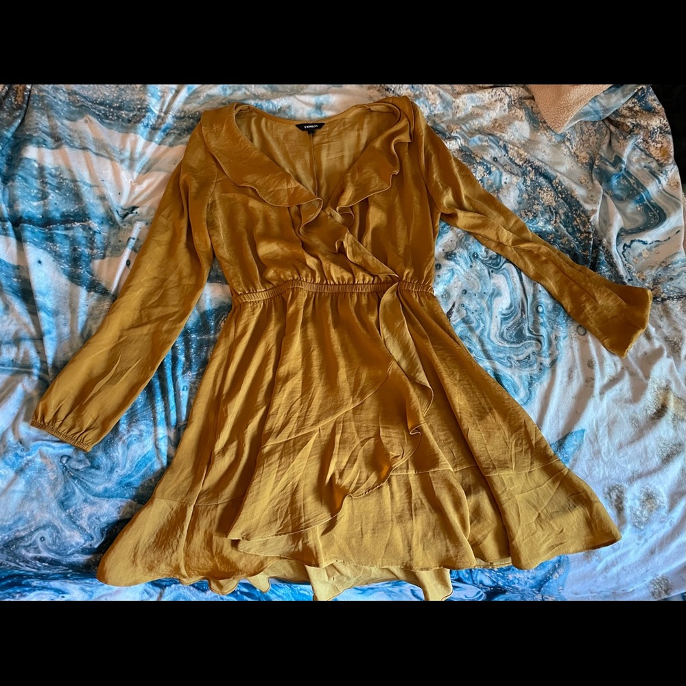 Express Long Sleeve Fall Dress